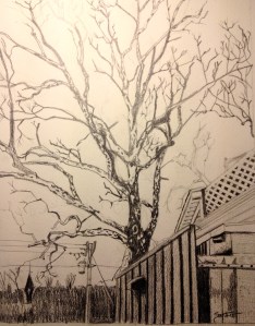 Sycamore by the Donut Shop