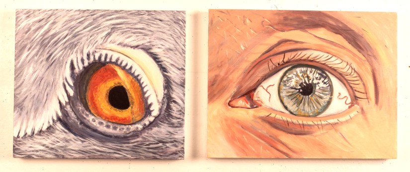A close up of a pigeon eye on the left and a human eye on the right. Oil on panel. 